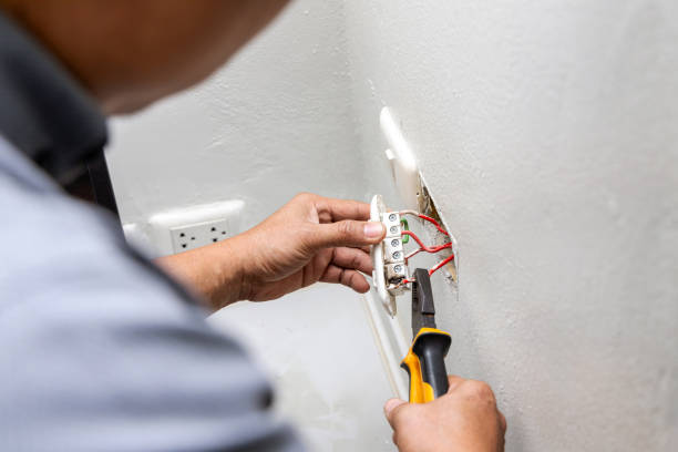 Best Electric Panel Repair  in Milbank, SD